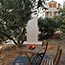 Villa Vito
