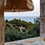 Villa Vito